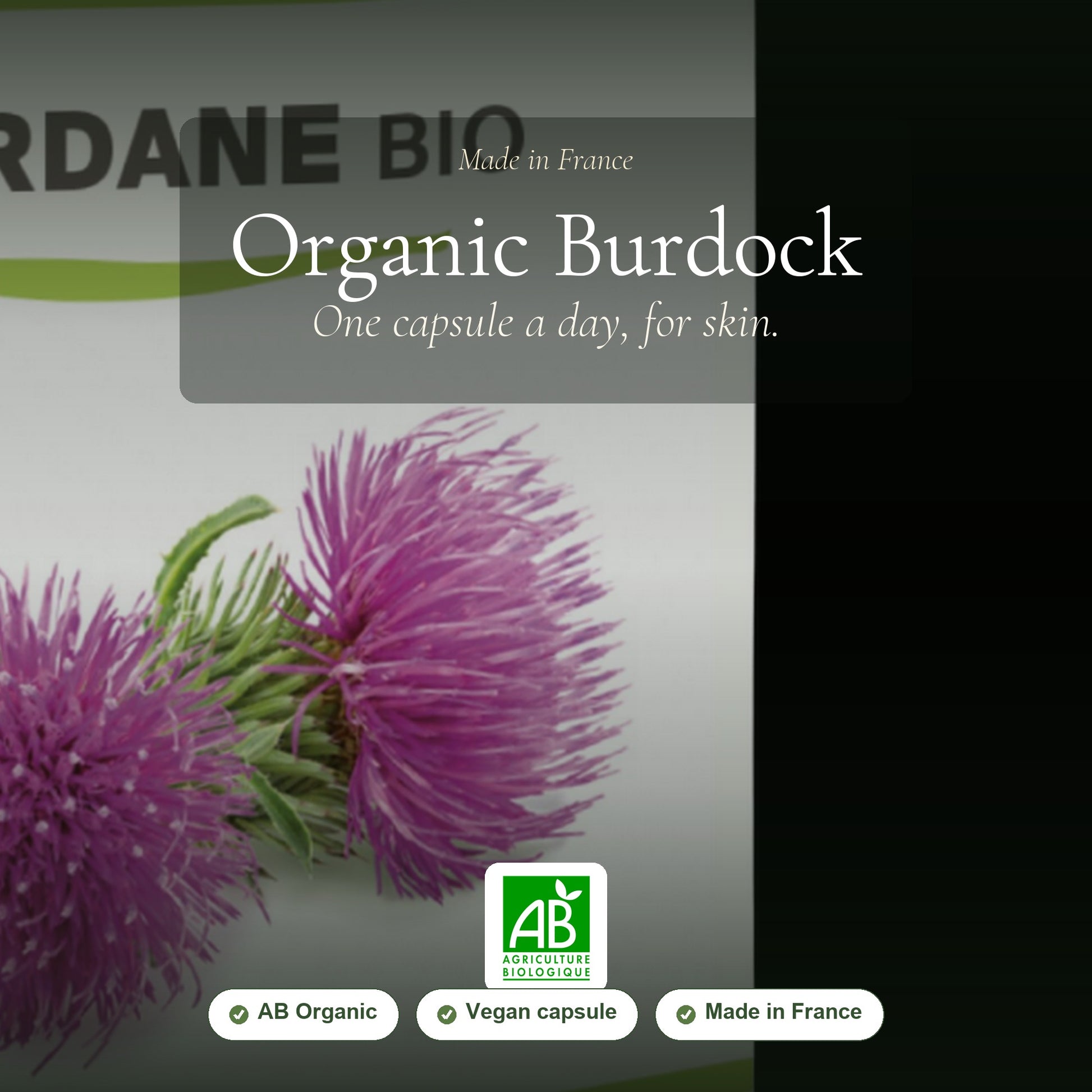 Organic Burdock Beauty Skin Food Supplement – slide 1