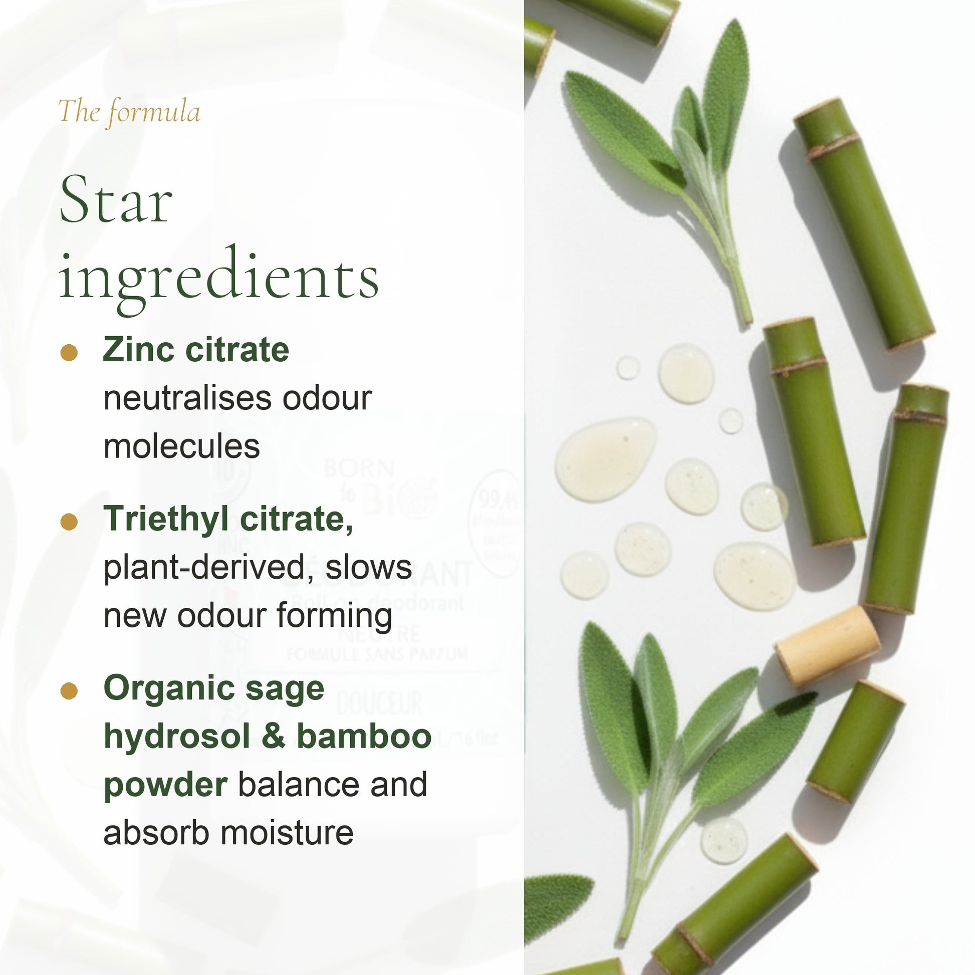 Organic Fragrance-Free Deodorant – slide 3