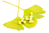 Organic Ginkgo Biloba Supplement | Supports Memory & Circulation | Made in France