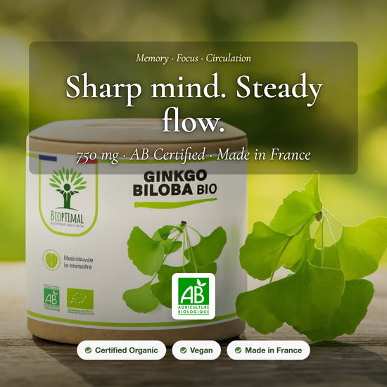 Organic Ginkgo Biloba Supplement – Memory Focus Circulation – AB Certified Made in France | Pure n' Bio