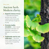 Ginkgo Biloba Benefits – Supports Memory Focus & Healthy Circulation – Flavonoids Terpene Lactones | Pure n' Bio