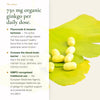 Ginkgo Biloba 750 mg Daily Dose – Flavonoids Terpene Lactones Active Compounds – AB Certified | Pure n' Bio