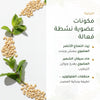 رغوة استحمام عضوية برائحة النعناع الأخضر – مُعتمدة عضويًا | بورن تو بيو فيشي – شريحة 3