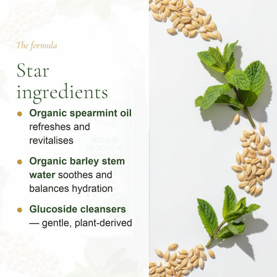 Organic Green Mint Shower Foam – slide 3