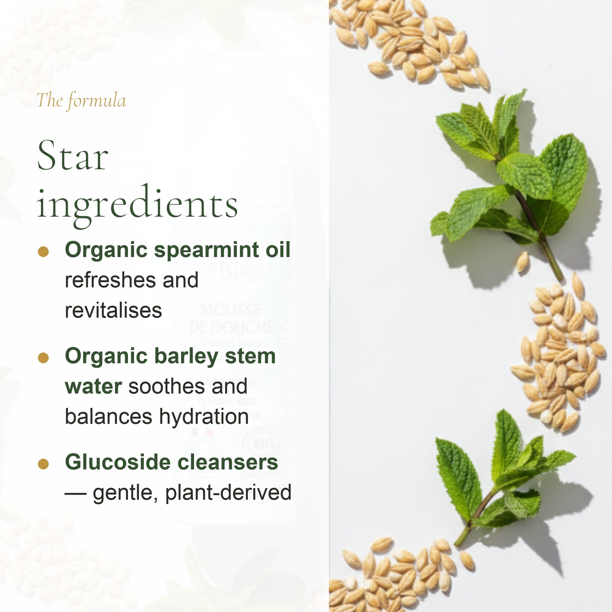 Organic Green Mint Shower Foam – slide 3