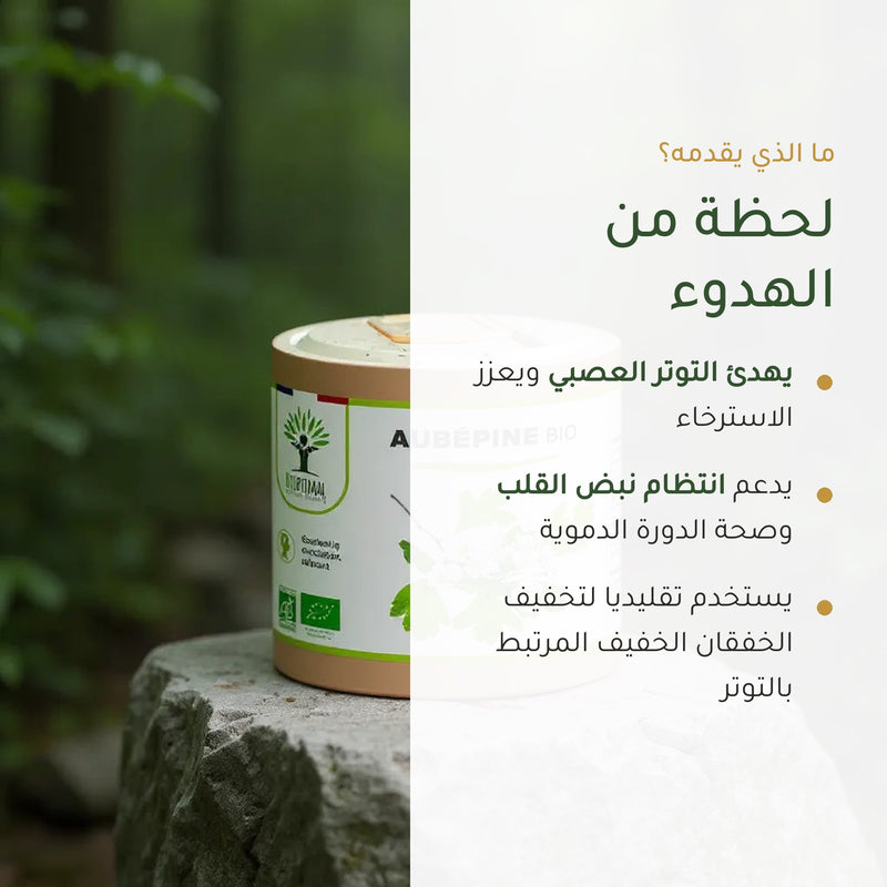 [AR] فوائد الزعرور العضوي – يهدّئ التوتر العصبي ويدعم انتظام نبض القلب والدورة الدموية