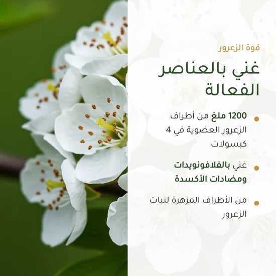 1200 ملغ من أطراف الزعرور العضوية في 4 كبسولات – فلافونويدات ومضادات أكسدة