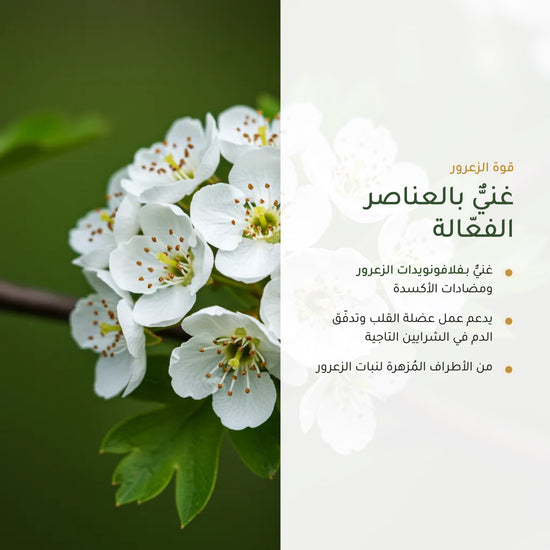 مكمّل الزعرور العضوي للاسترخاء وصحة القلب (3)