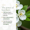 1200 mg Organic Hawthorn Flowering Tops per 4 Capsules – Flavonoids & Antioxidants, Crataegus Monogyna