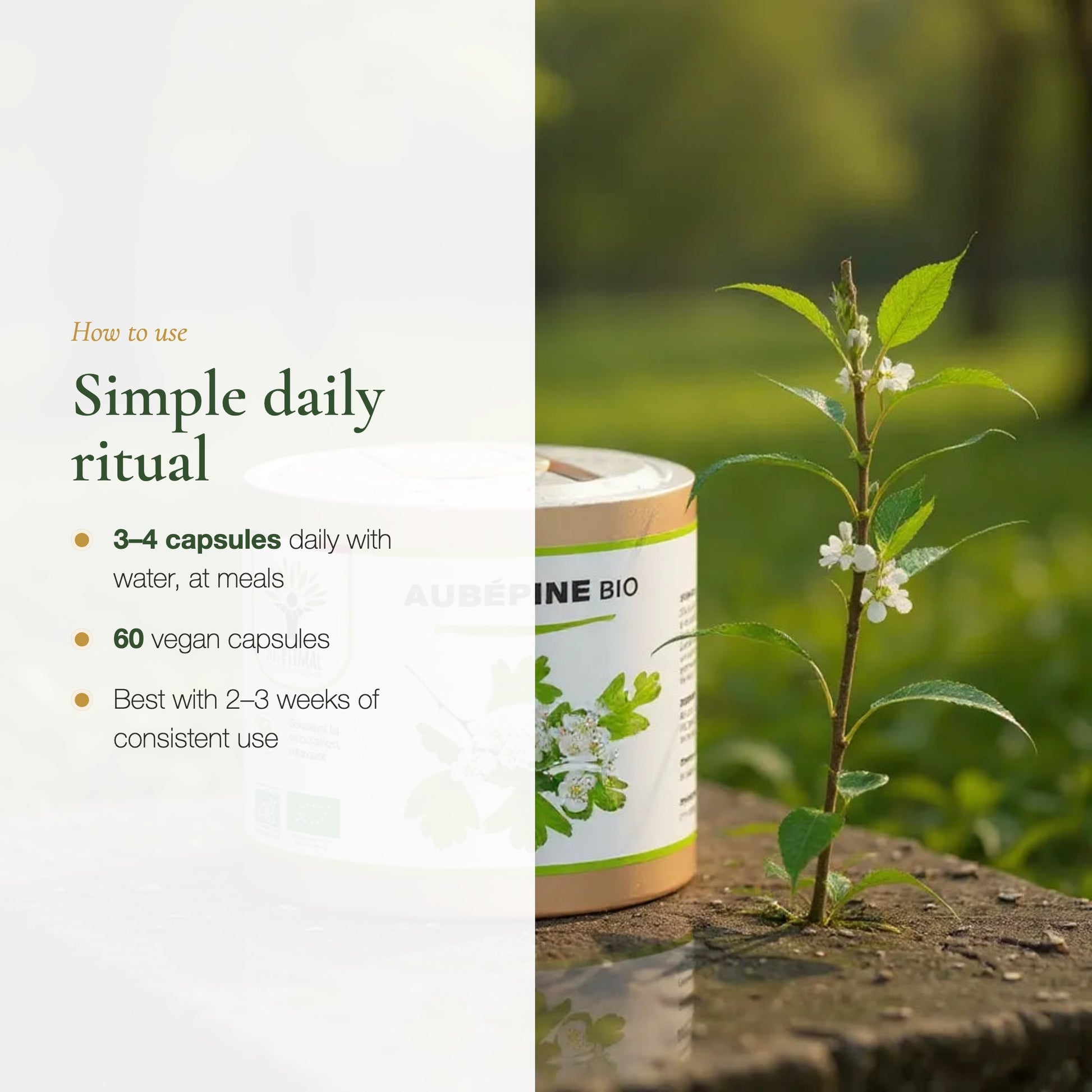 Organic Hawthorn relaxation & heart supplement (slide 5)