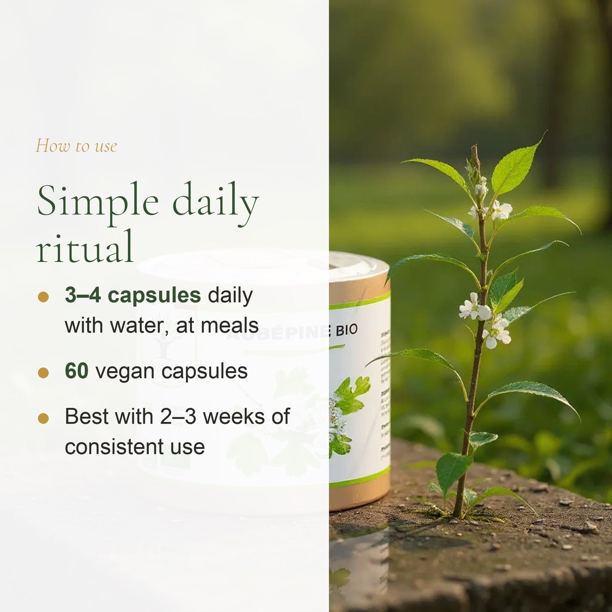 How to Use Organic Hawthorn – 3 to 4 Capsules Daily with Meals – 60 Vegan Capsules