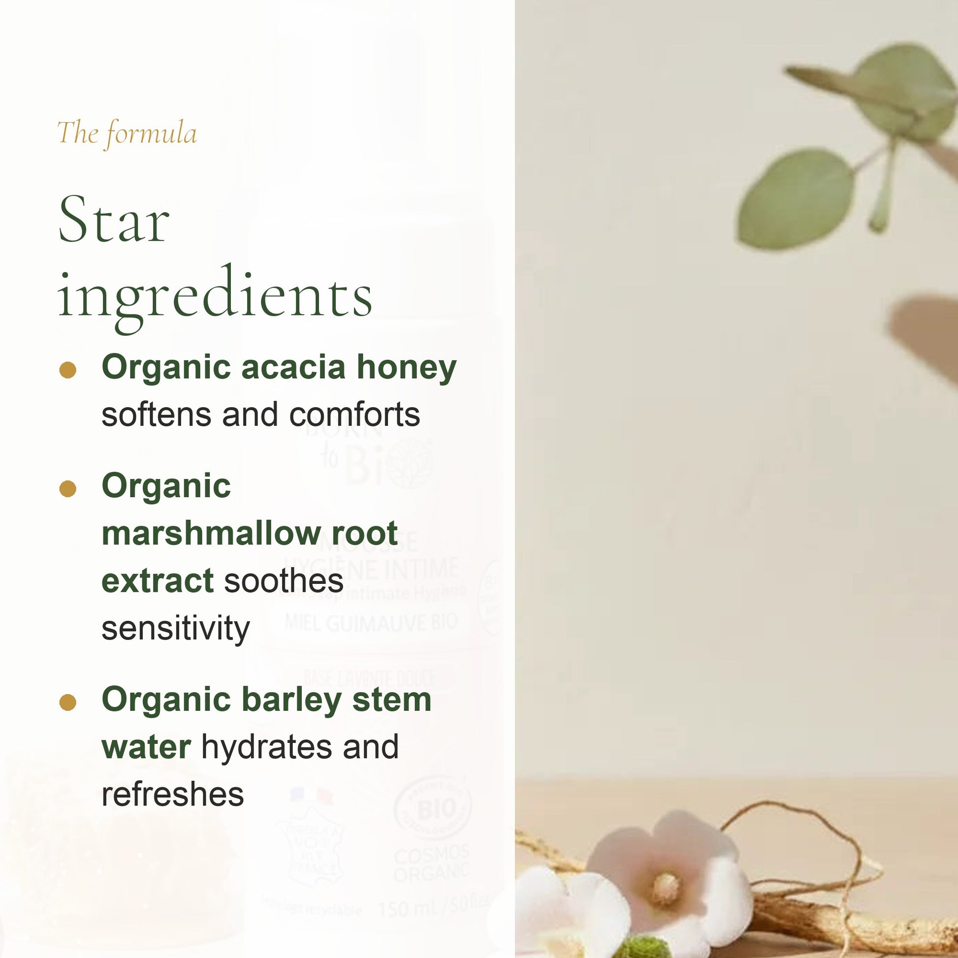 Organic Honey & Marshmallow Intimate Foam – slide 3