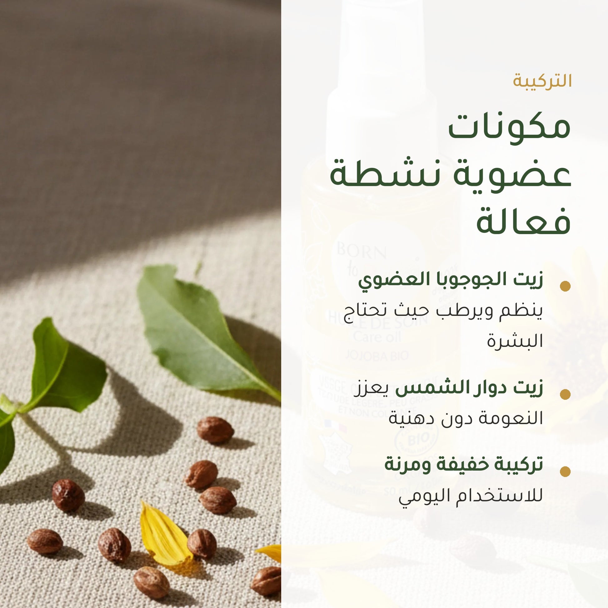 زيت الجوجوبا للعناية – عضوي مُعتمد | بورن تو بيو فيشي – شريحة 3