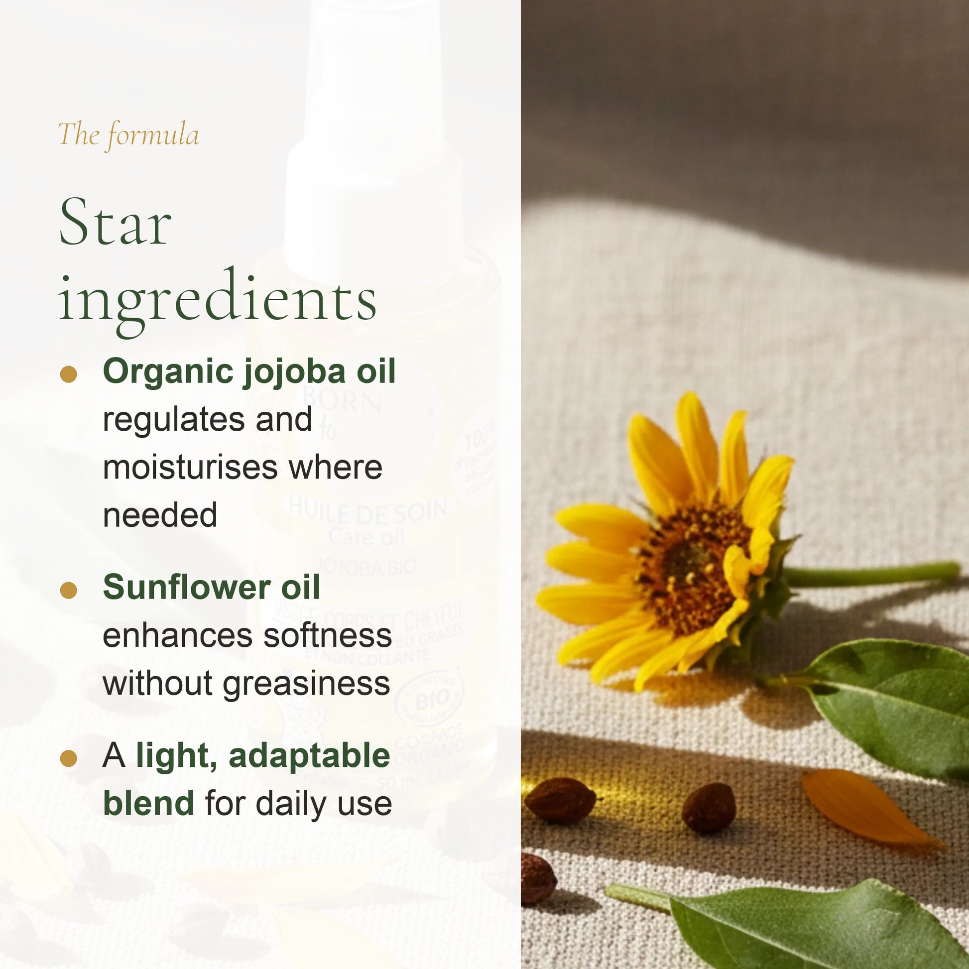 Jojoba Care Oil – slide 3