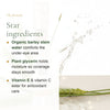 Organic Liquid Concealer – French Formula – slide 3