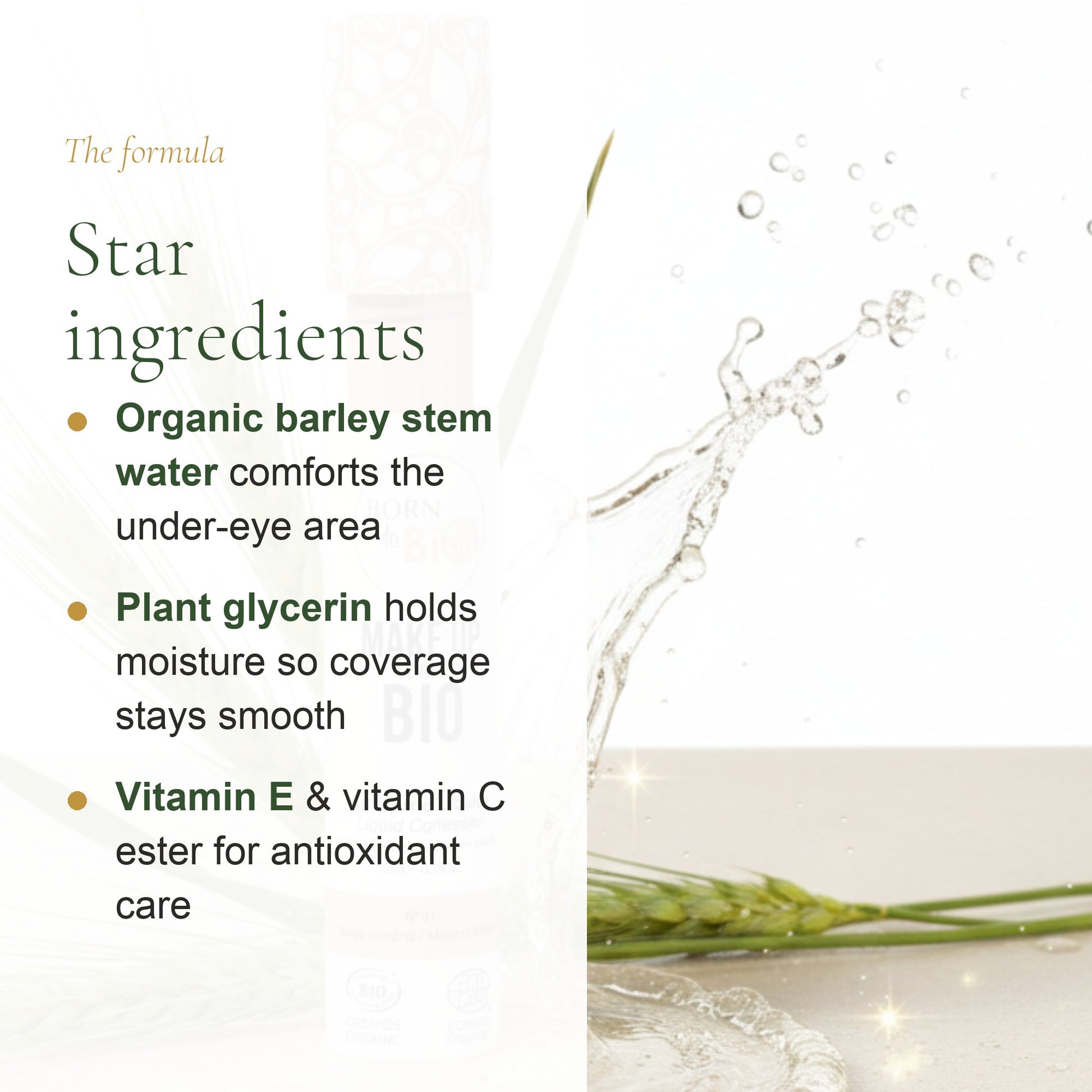 Organic Liquid Concealer – French Formula – slide 3