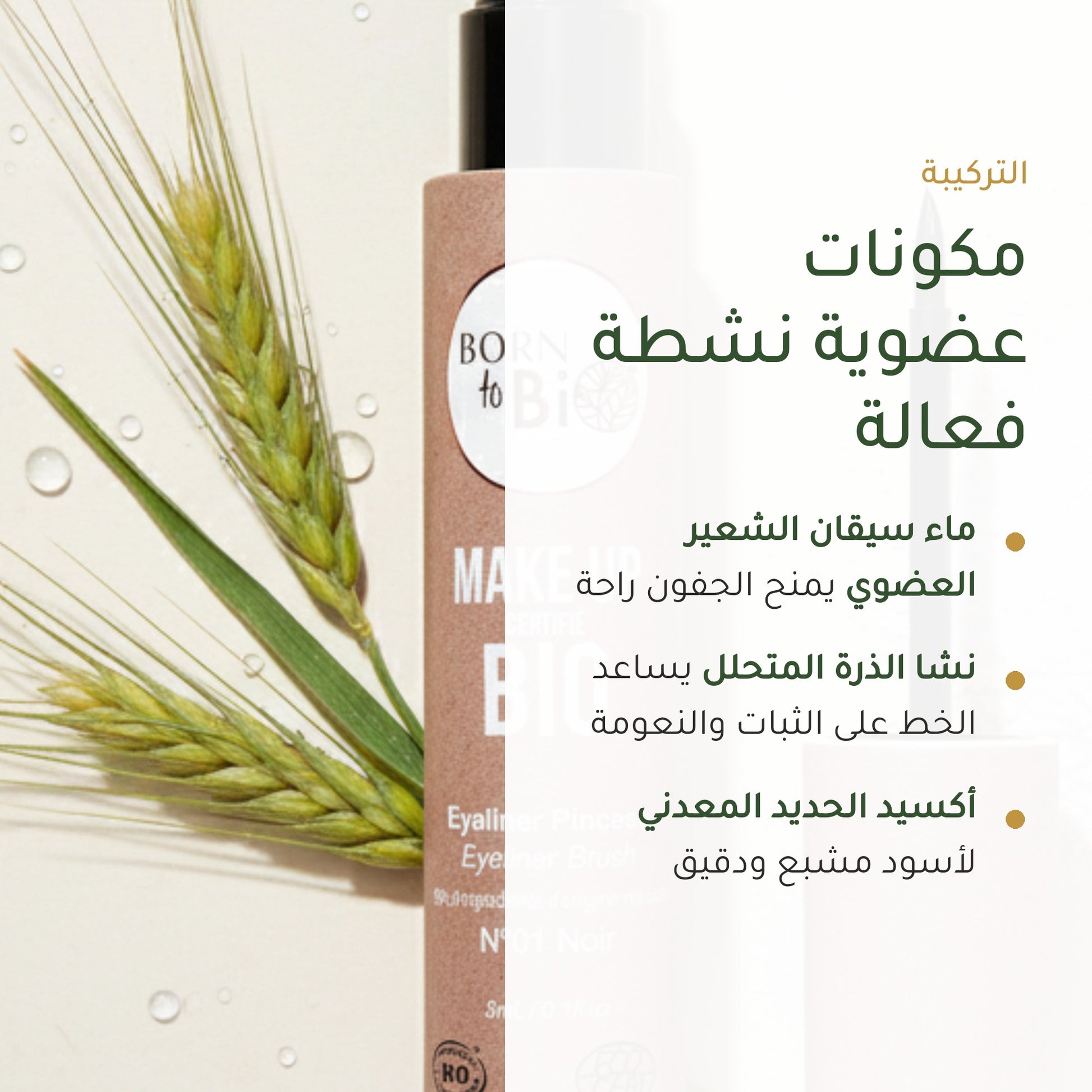 آيلاينر سائل عضوي – تركيبة فرنسية | بورن تو بيو فيشي – شريحة 3
