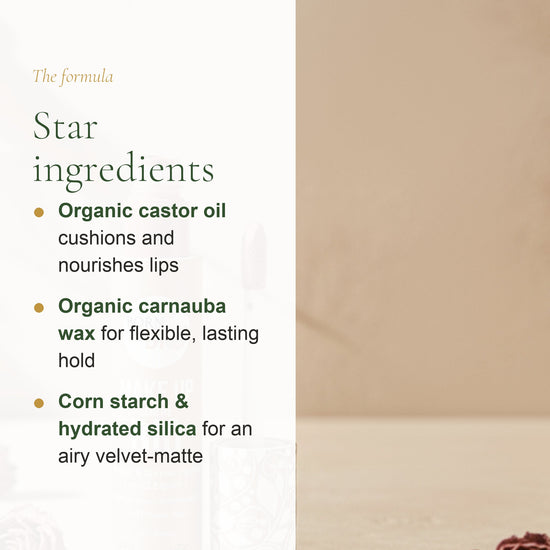 Organic Liquid Lipstick – French Formula – slide 3