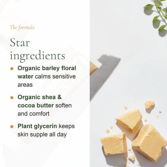 Organic Makeup Base – slide 3