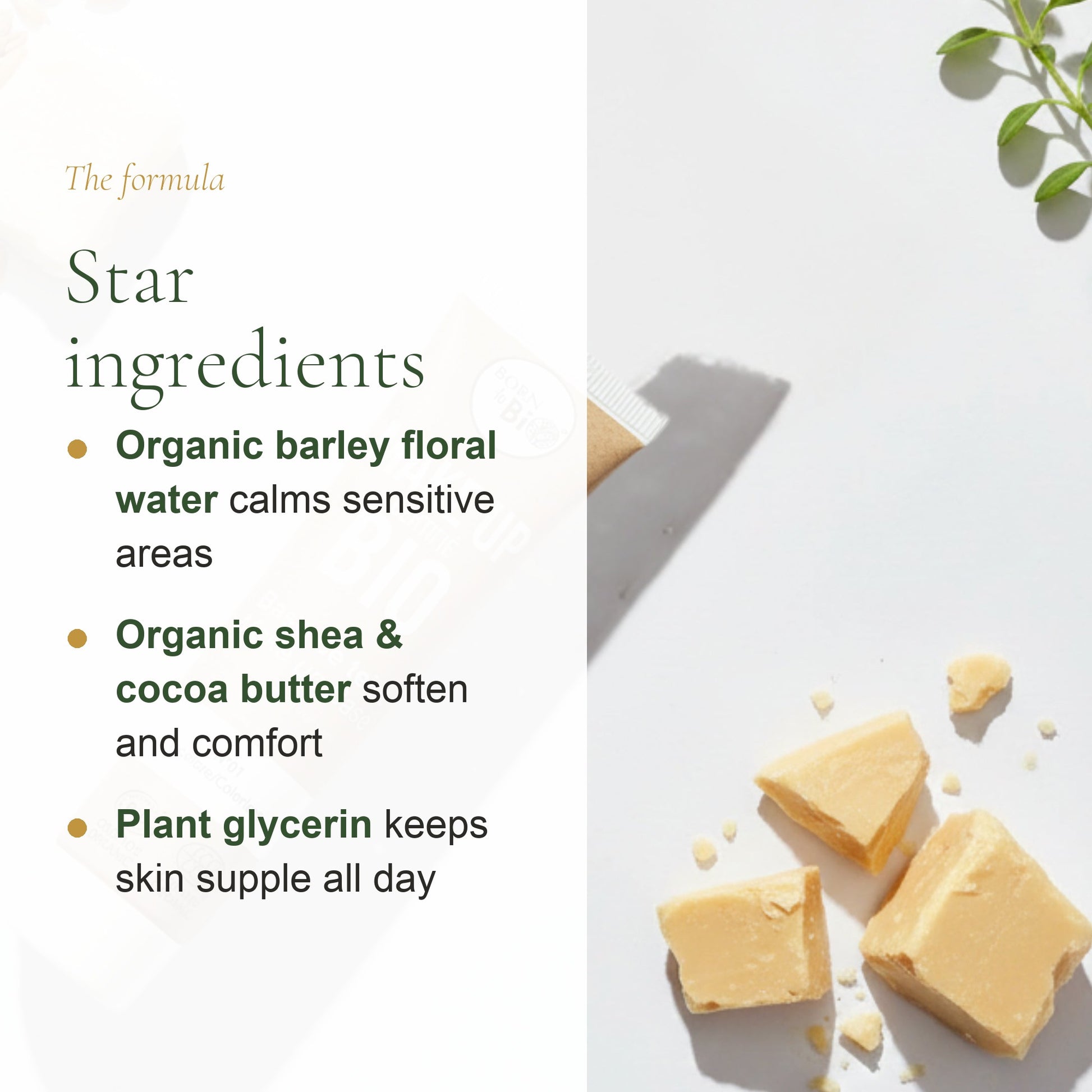 Organic Makeup Base – slide 3