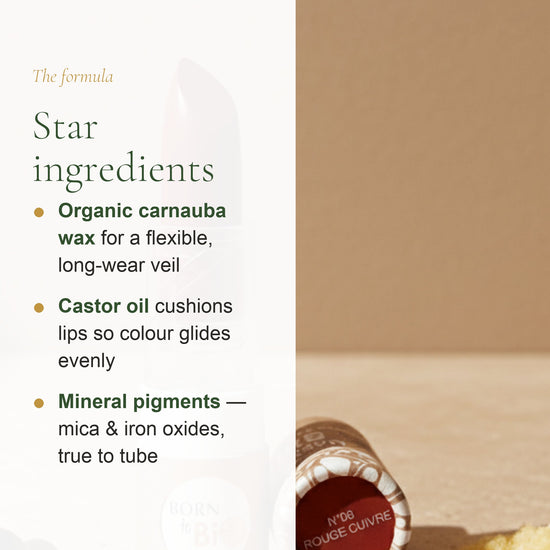 Organic Matte Lipstick – French Formula – slide 3