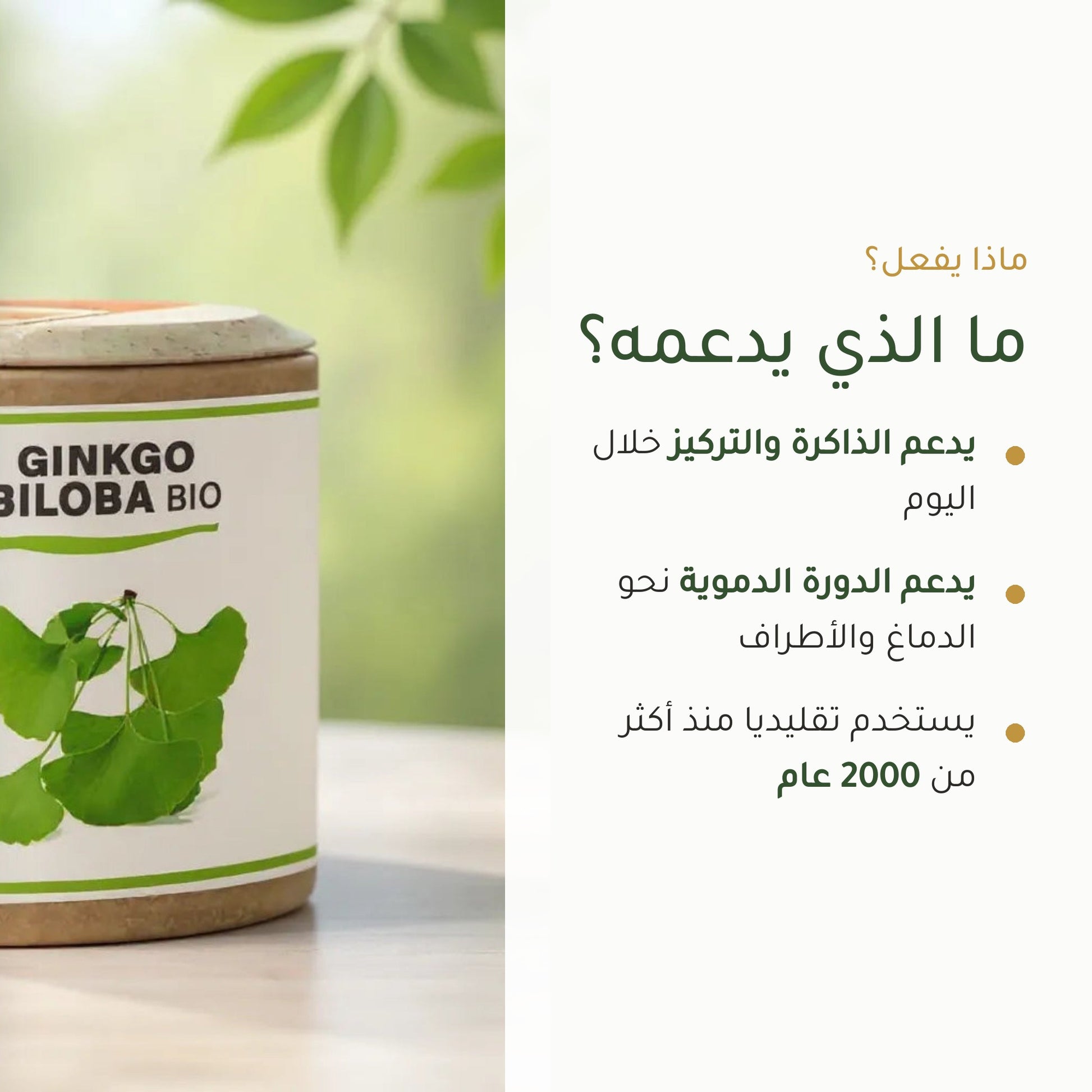 مكمل الجنكة بيلوبا العضوي – شريحة 2