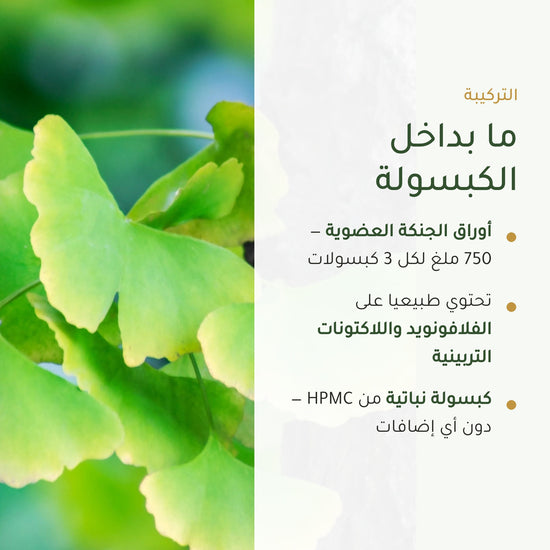 مكمل الجنكة بيلوبا العضوي – شريحة 3