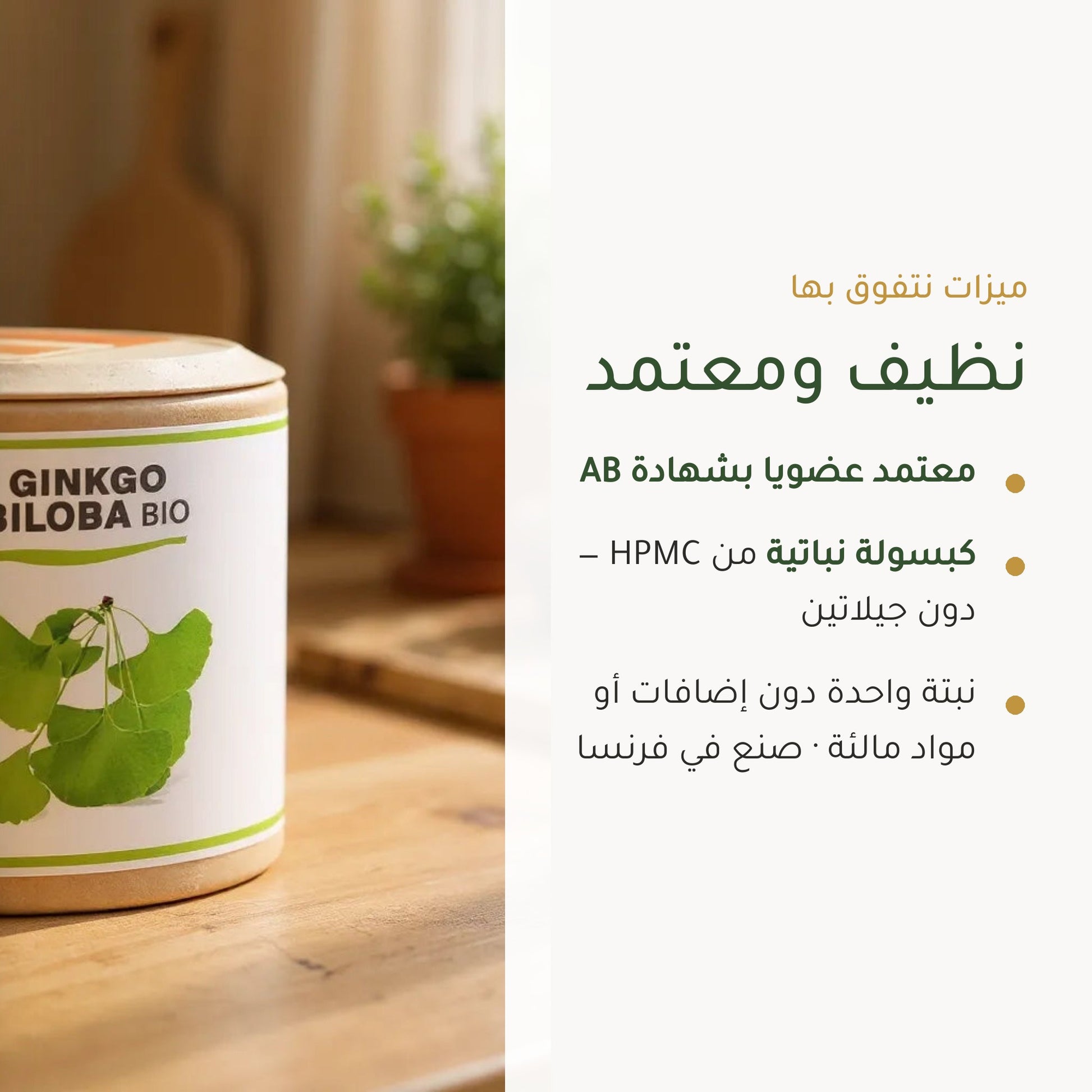 مكمل الجنكة بيلوبا العضوي – شريحة 4