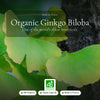 Organic Ginkgo Biloba Supplement – slide 1