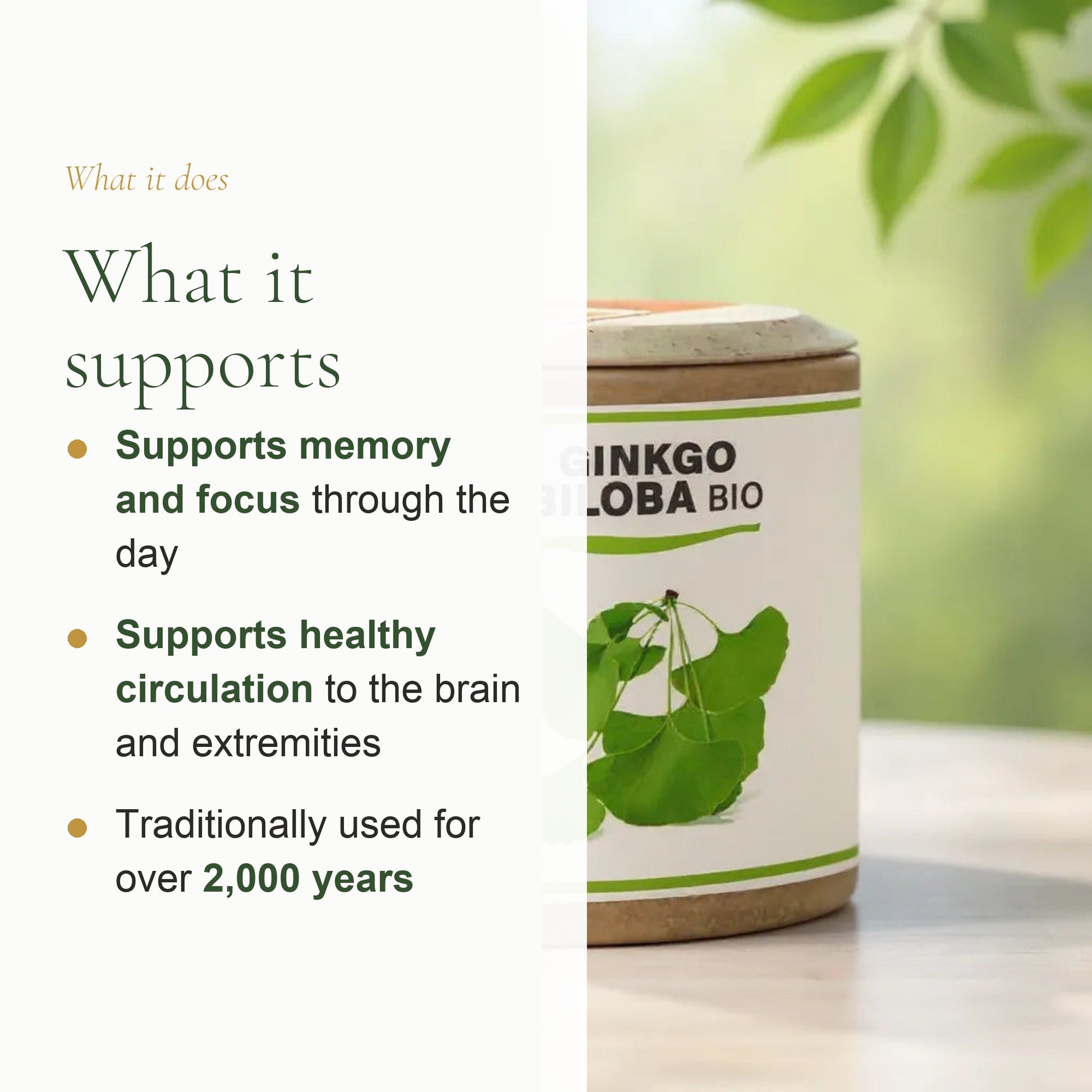 Organic Ginkgo Biloba Supplement – slide 2