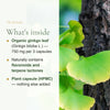 Organic Ginkgo Biloba Supplement – slide 3
