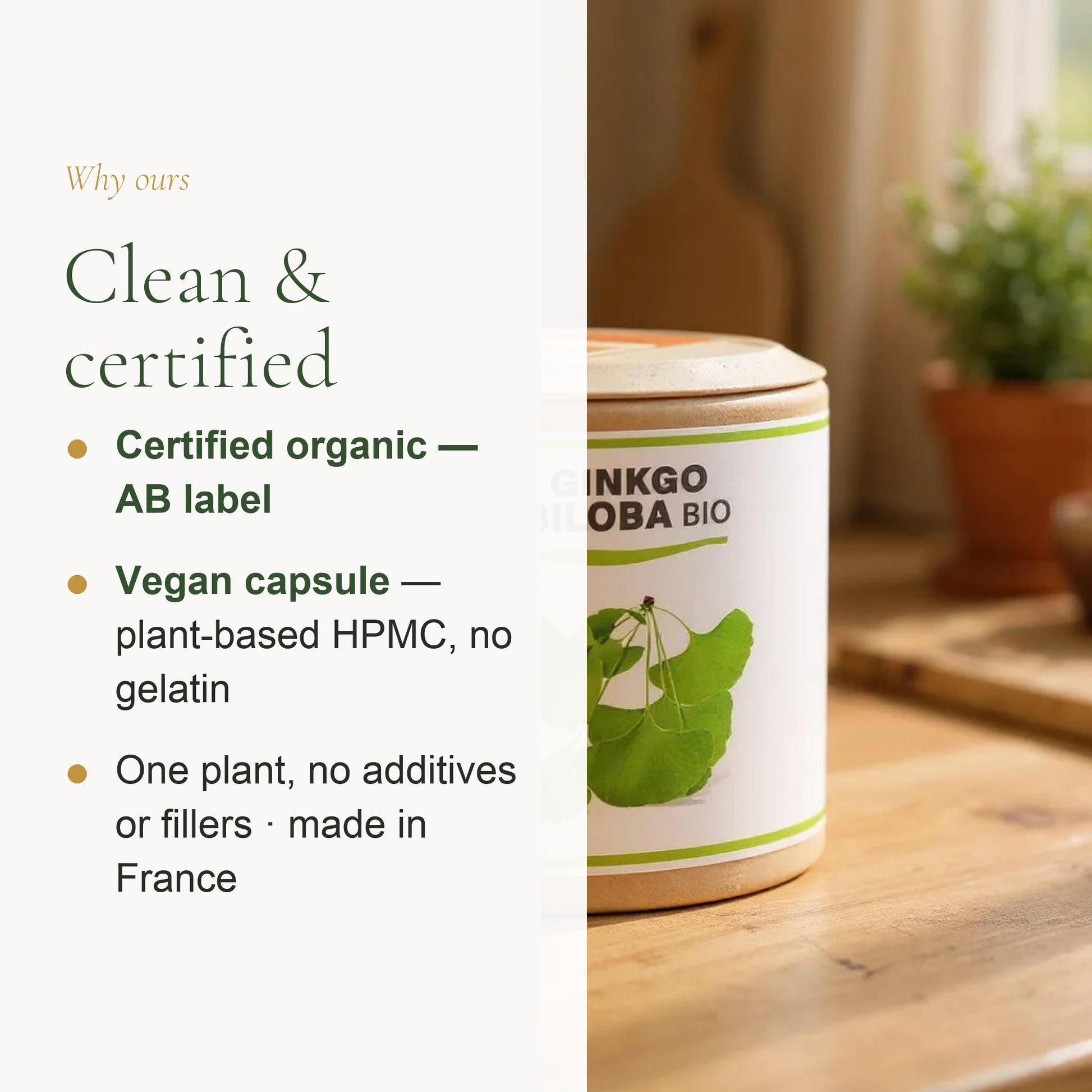 Organic Ginkgo Biloba Supplement – slide 4