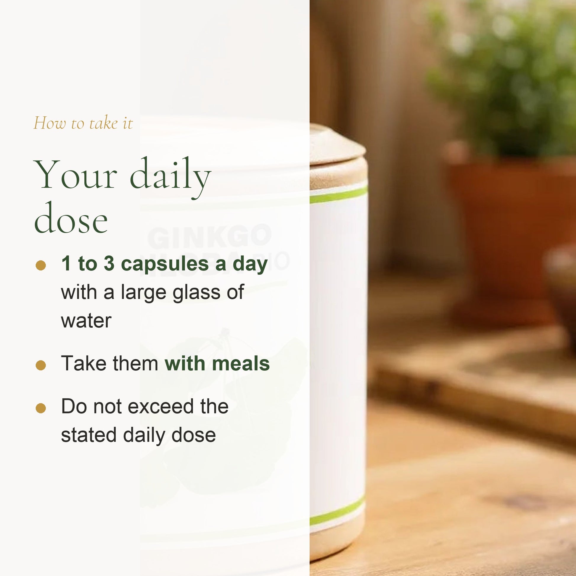 Organic Ginkgo Biloba Supplement – slide 6