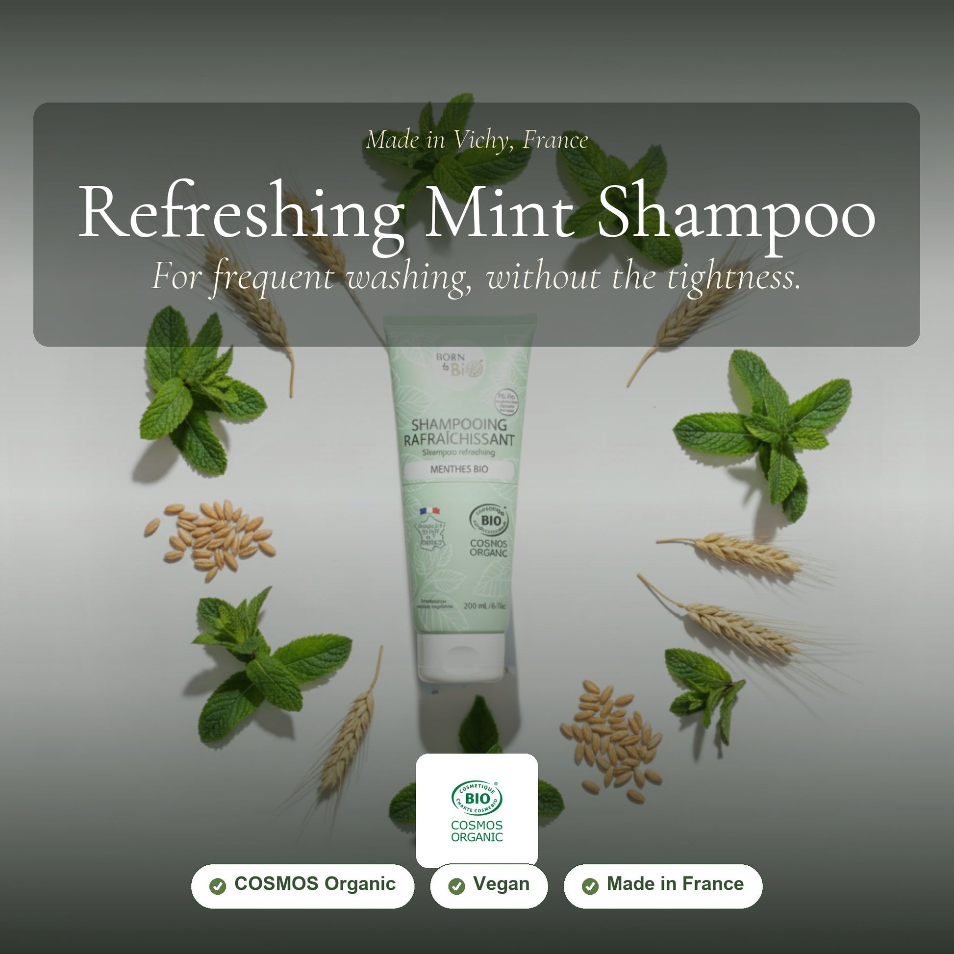 Refreshing Mint Shampoo for Oily Hair – slide 1