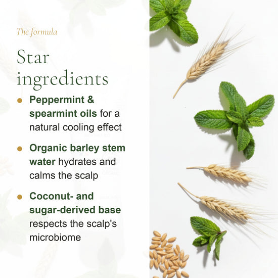 Refreshing Mint Shampoo for Oily Hair – slide 3
