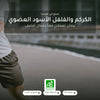 مكمل غذائي بالكركم والفلفل الأسود العضوي – شريحة 1