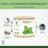 natural supplement for better sleep