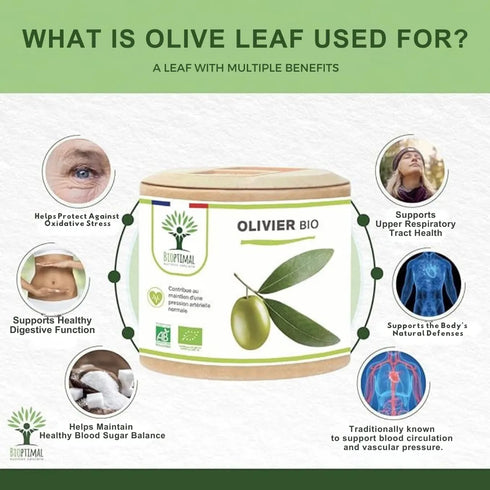 olive leaf benefits