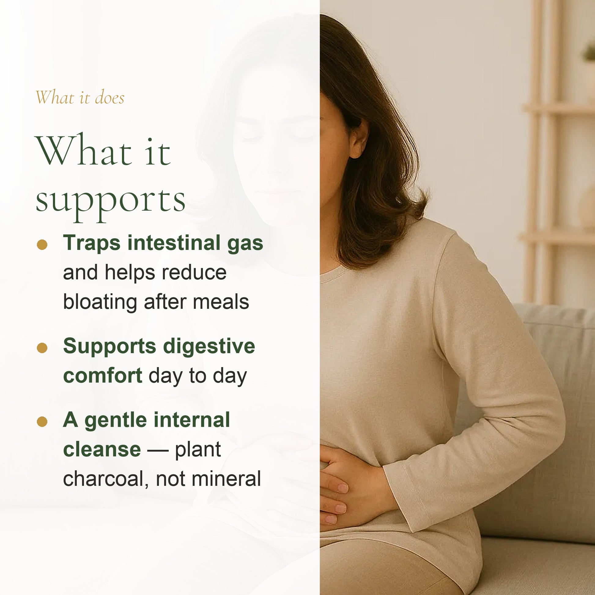 Organic Charcoal Supplement – Digestive Detox – slide 2