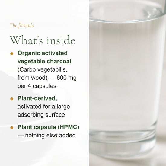 Organic Charcoal Supplement – Digestive Detox – slide 3