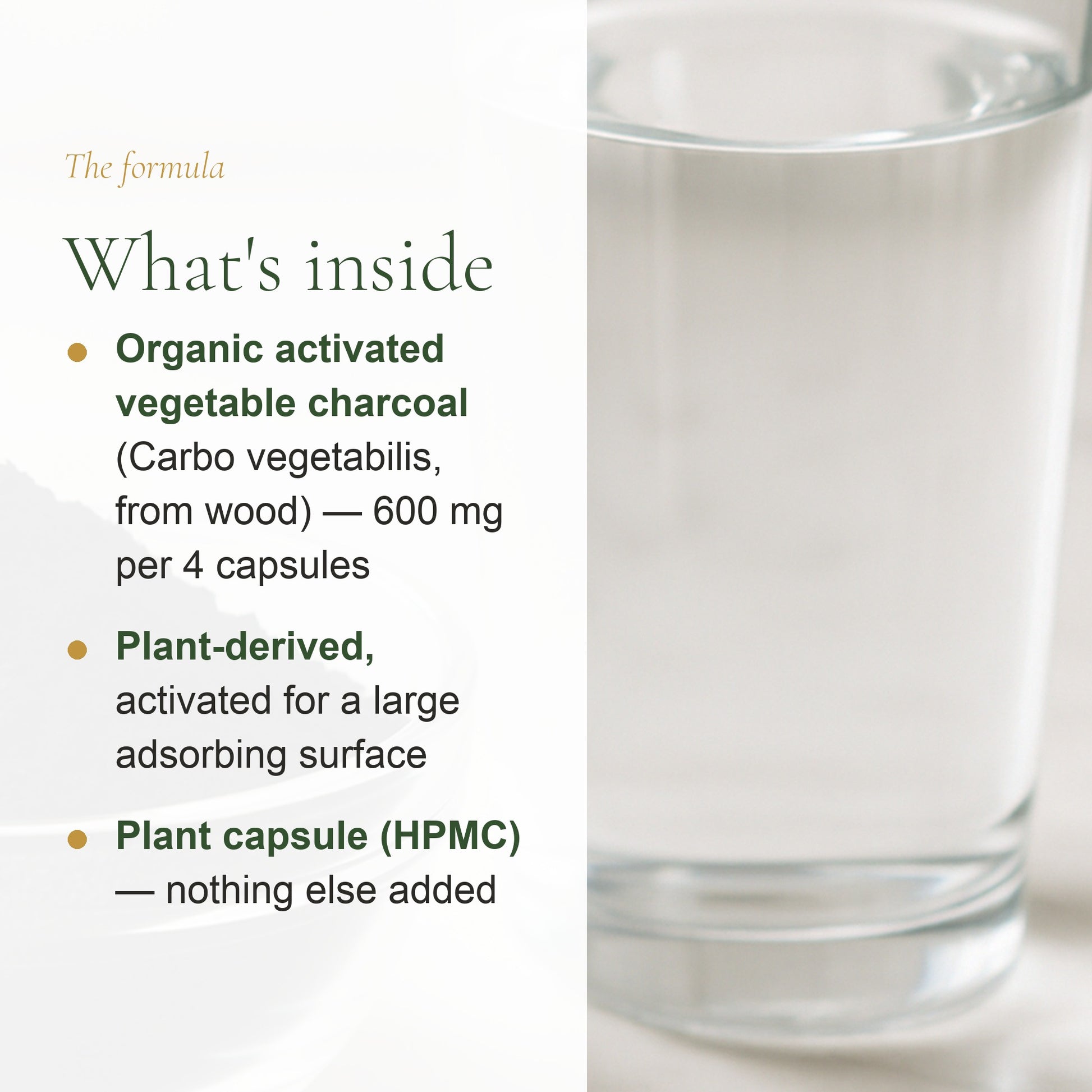 Organic Charcoal Supplement – Digestive Detox – slide 3