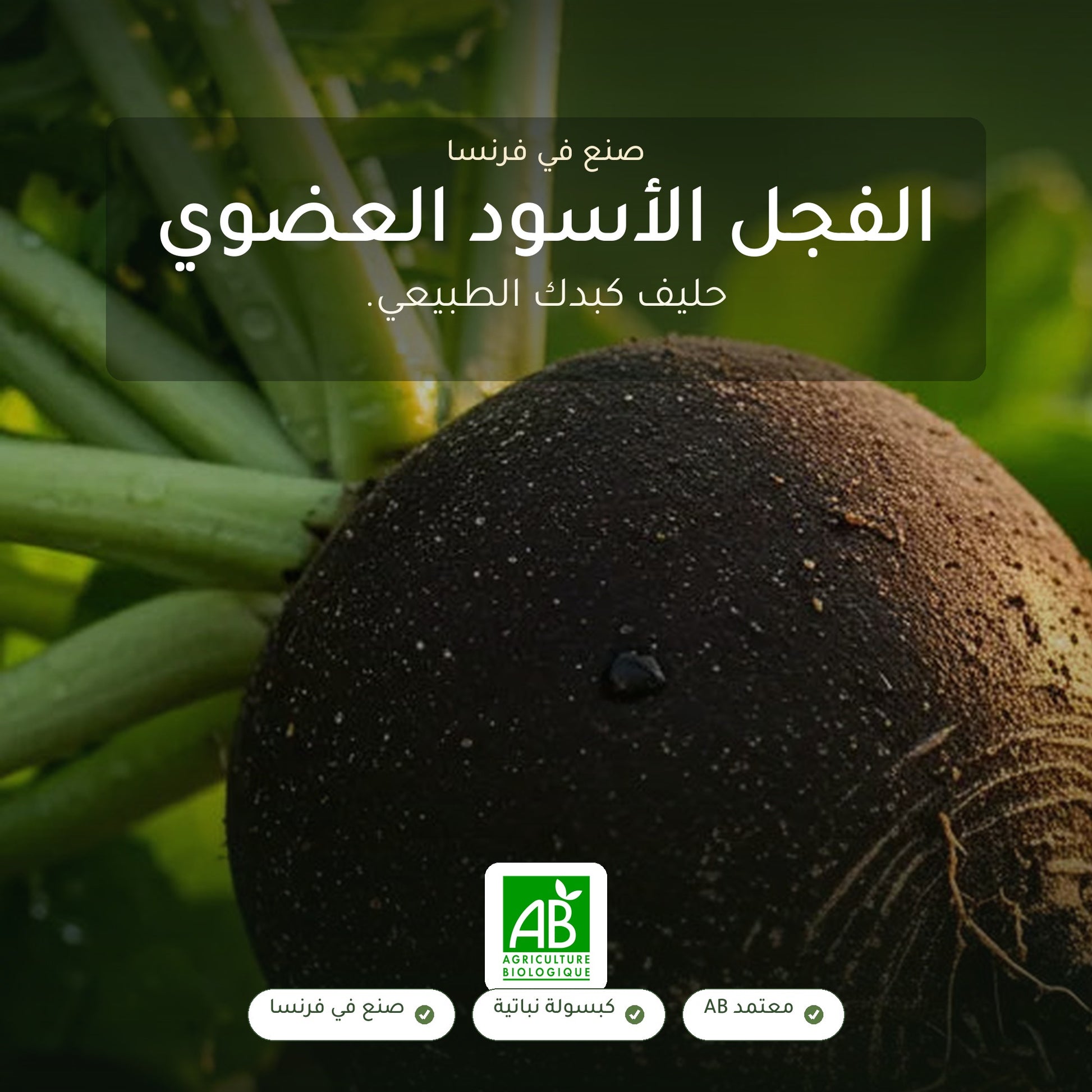 مكمّل عضوي نباتي بخلاصة الفجل الأسود – دعم للكبد والهضم والنقاء الداخلي – شريحة 1