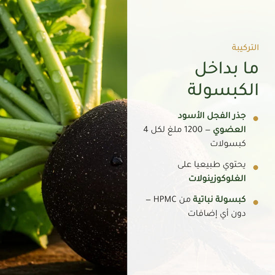 مكمّل عضوي نباتي بخلاصة الفجل الأسود – دعم للكبد والهضم والنقاء الداخلي – شريحة 3