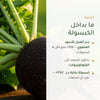 مكمّل عضوي نباتي بخلاصة الفجل الأسود – دعم للكبد والهضم والنقاء الداخلي – شريحة 3