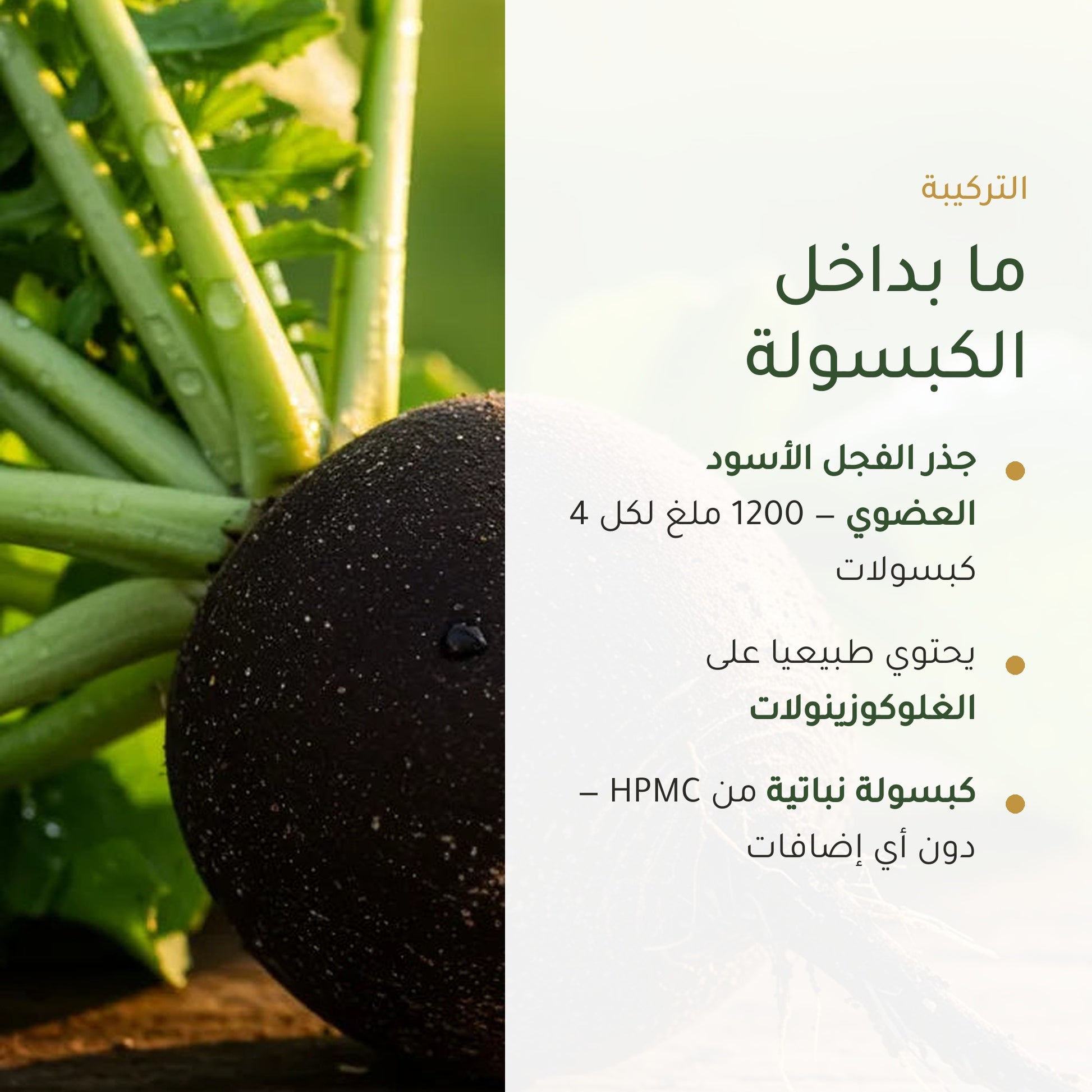 مكمّل عضوي نباتي بخلاصة الفجل الأسود – دعم للكبد والهضم والنقاء الداخلي – شريحة 3