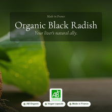 [EN] Organic Black Radish Supplement – Natural Support for Liver, Digestion & Inner Balance - Made in France – slide 1