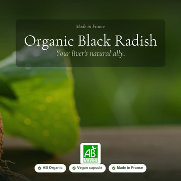[EN] Organic Black Radish Supplement – Natural Support for Liver, Digestion & Inner Balance - Made in France – slide 1