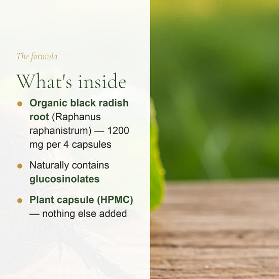 Organic Black Radish Supplement – Natural Support for Liver, Digestion & Inner Balance - Made in France – slide 3