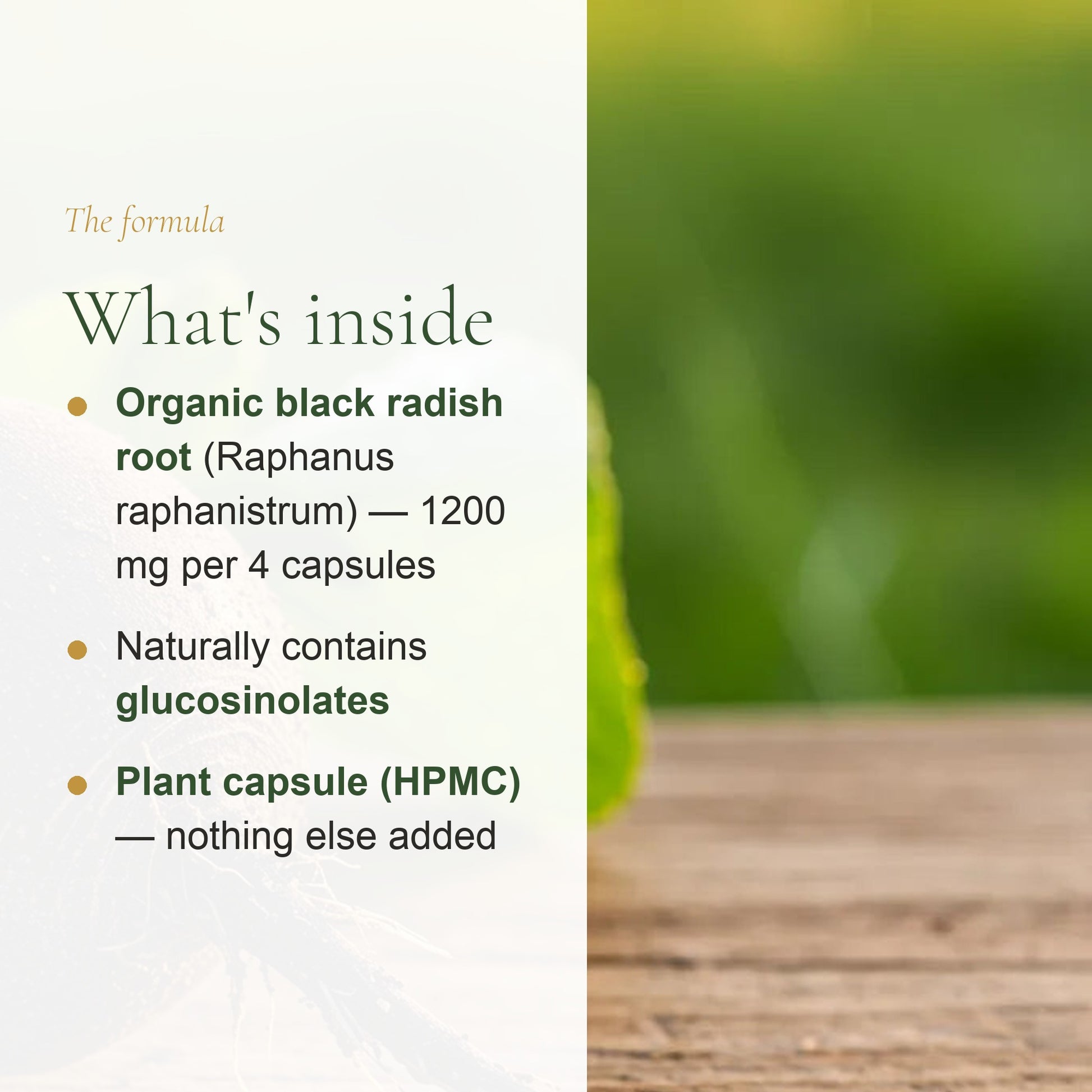 Organic Black Radish Supplement – Natural Support for Liver, Digestion & Inner Balance - Made in France – slide 3
