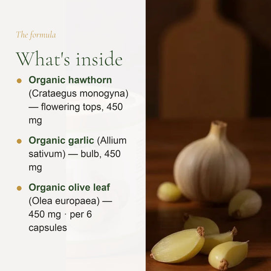 Organic Cardio Supplement – slide 3